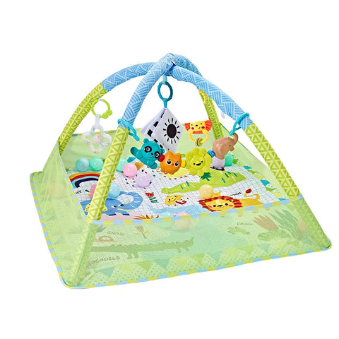 Baby Play Mat with Arch